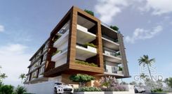 50 m2 - 3783 - photo-2