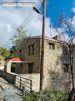 550 m2 -06761 - photo-3