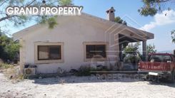 m2 -06775 - photo-4