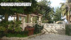 258 m2 -07270 - photo-6
