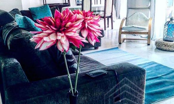 175 m2 -07494 - photo-4