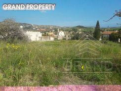 m2 -07143 - photo-1
