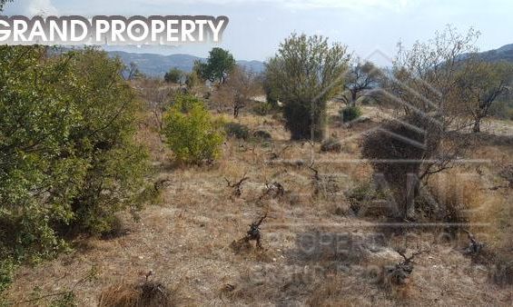 m2 -07198 - photo-5