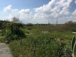 m2 -07562 - photo-2