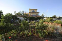 990 m2 -09652 - photo-30