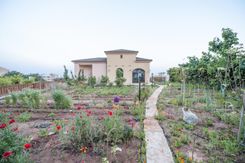990 m2 -09652 - photo-48