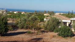 200 m2 -09661 - photo-7