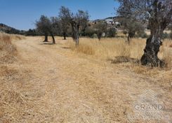 343 m2 - 1385 - photo-1