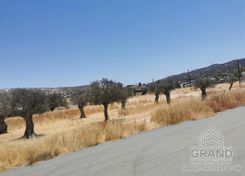 343 m2 - 1385 - photo-11