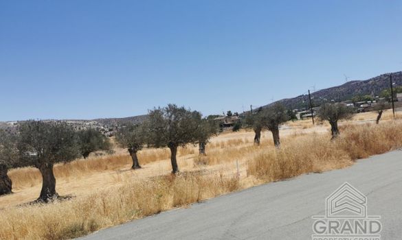 343 m2 - 1385 - photo-11