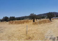 343 m2 - 1385 - photo-7