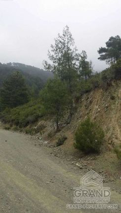 43200 m2 - 1459 - photo-6