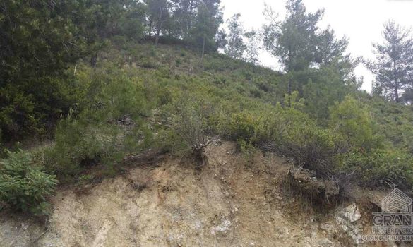 43200 m2 - 1459 - photo-13