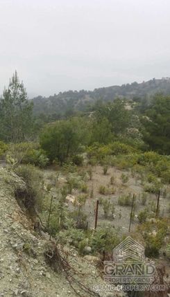 43200 m2 - 1459 - photo-8