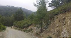 43200 m2 - 1459 - photo-14