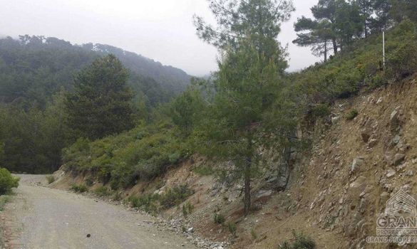 43200 m2 - 1459 - photo-14