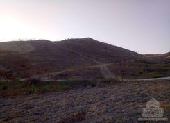 1549 - photo-4