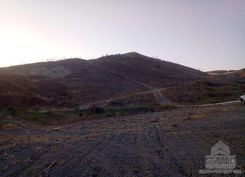 1549 - photo-5