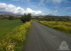 1794 - photo-2
