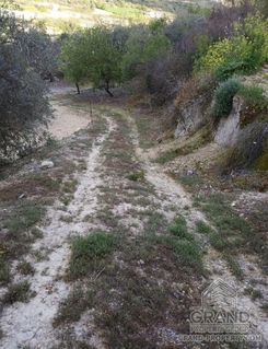 2029 - photo-4