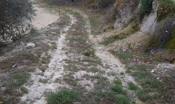 2029 - photo-4