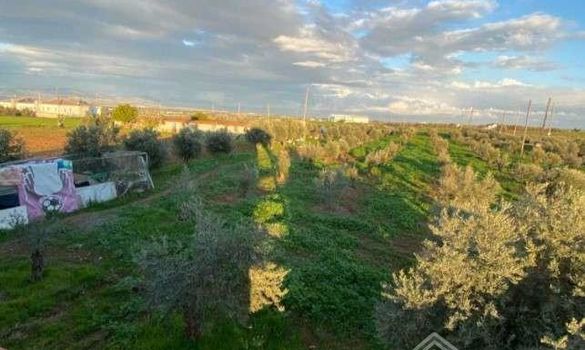 220 m2 - 2211 - photo-7
