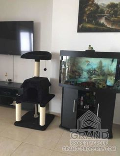 110 m2 - 2397 - photo-5