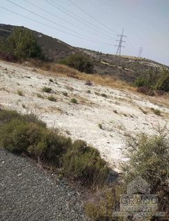 2425 - photo-1