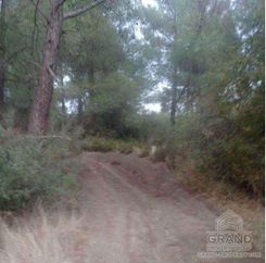 2655 - photo-4