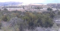  m2 - 2759 - photo-2