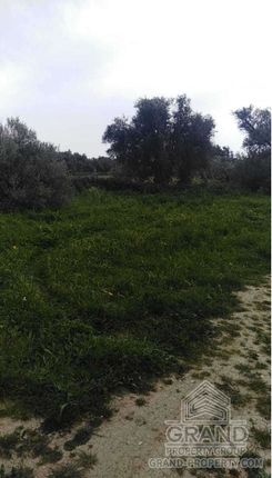  m2 - 2931 - photo-10