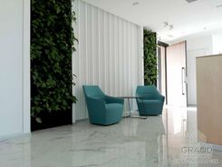 4337 m2 - 2938 - photo-2