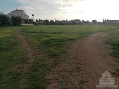 3268 - photo-4