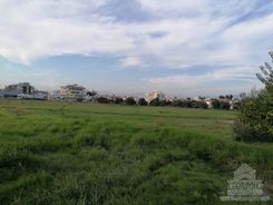 3268 - photo-1