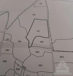 3319 - photo-1