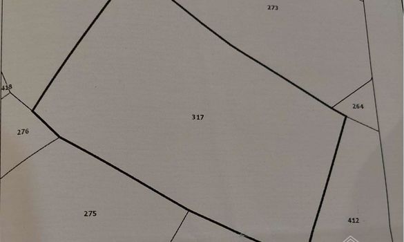  m2 - 3388 - photo-1