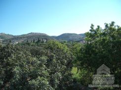 100 m2 - 3495 - photo-7