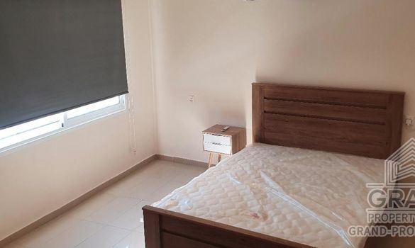 85 m2 - 3510 - photo-3