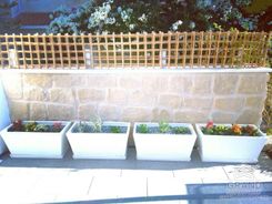 66 m2 - 3996 - photo-4