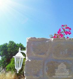 66 m2 - 3996 - photo-6