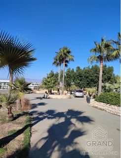  m2 - 4277 - photo-1