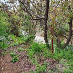  m2 - 4411 - photo-1