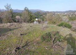  m2 - 4706 - photo-4