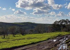  m2 - 4854 - photo-2