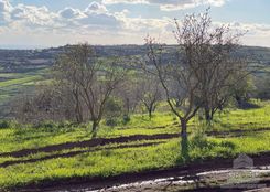  m2 - 4854 - photo-7