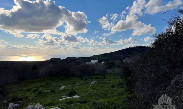 m2 - 4855 - photo-3