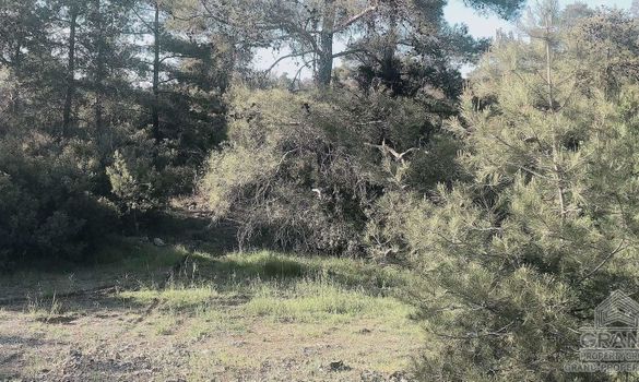  m2 - 5002 - photo-1