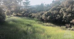  m2 - 5002 - photo-2