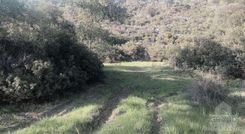  m2 - 5002 - photo-4