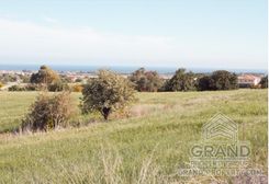  m2 - 5614 - photo-1